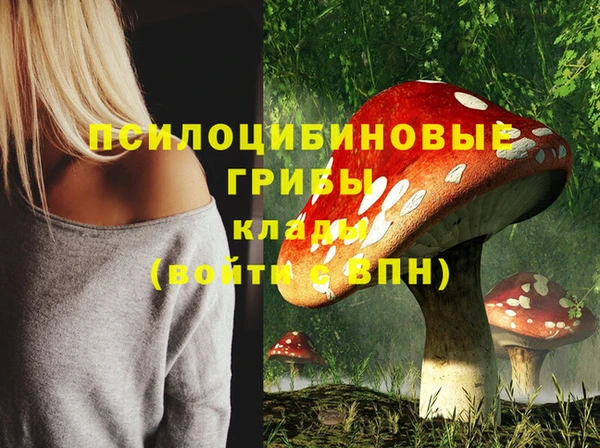 а пвп мука Новокубанск