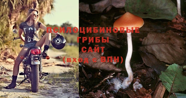 а пвп мука Новокубанск