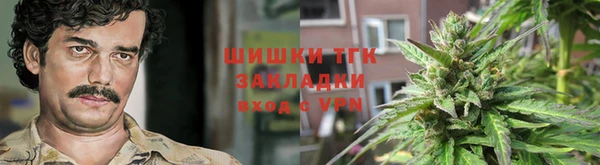 прущие грибы Нефтегорск