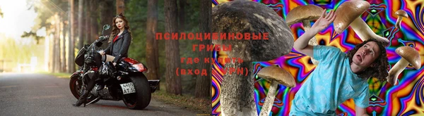 прущие грибы Нефтегорск