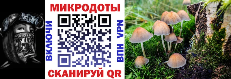 Галлюциногенные грибы ЛСД Ковылкино