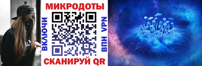 Псилоцибиновые грибы Psilocybe  даркнет состав  Ковылкино 